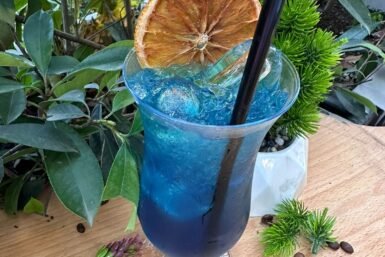 Sea Breeze Cocktail(Koktejl Flladi i Detit)