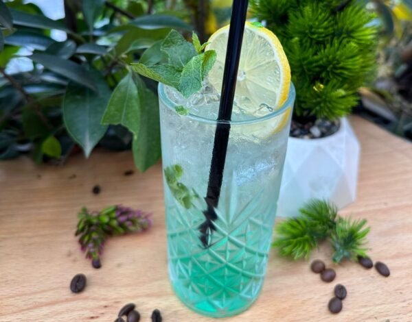 Mojito Non-Alcoholic (Jo-alkoolike)