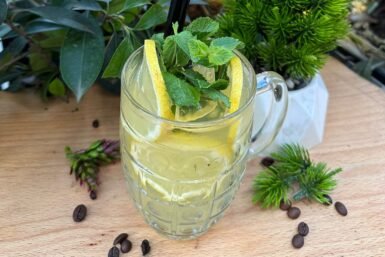 Fresh Lemon Juice (Lëng Limoni i freskët)