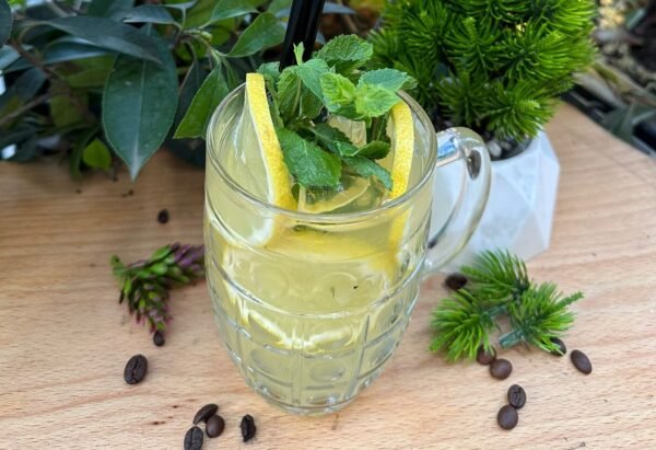 Fresh Lemon Juice (Lëng Limoni i freskët)