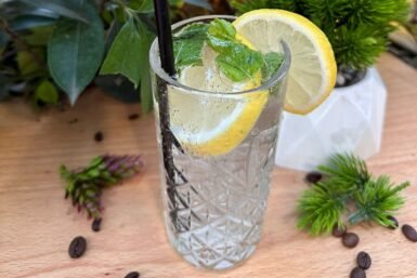 Churchil Cocktail (Kokteil Churchil)