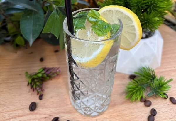 Churchil Cocktail (Kokteil Churchil)